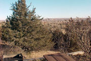 Photo: 011Cabin, Cabin Area