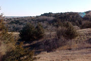 Photo: 011Cabin, Cabin Area