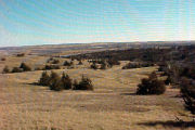 Photo: 012Cabin, Cabin Area