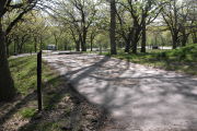 Photo: 064, Oak Bluff Sites 37-73
