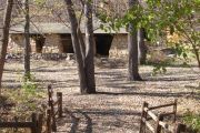 Photo: WEST SHELTER, Ponca SP