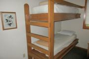 Photo: 022 TREE, Prairie Wolf Cabin Loop (cabins 21-32)