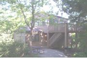 Photo: 028 TREE, Prairie Wolf Cabin Loop (cabins 21-32)
