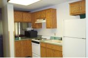 Photo: 004 TREE, County Cork Cabin Loop (cabins 1-14 & 41)