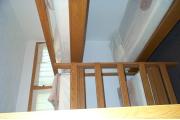 Photo: 004 TREE, County Cork Cabin Loop (cabins 1-14 & 41)