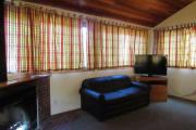 Photo: 045 TREE, Margre's Village Cabin Loop (cabins 42-54)