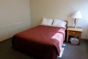 Photo: 045 TREE, Margre's Village Cabin Loop (cabins 42-54)