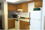 Photo: 007 TREE, County Cork Cabin Loop (cabins 1-14 & 41)