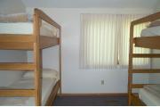 Photo: 007 TREE, County Cork Cabin Loop (cabins 1-14 & 41)