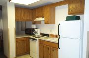 Photo: 008 TREE, County Cork Cabin Loop (cabins 1-14 & 41)