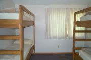 Photo: 008 TREE, County Cork Cabin Loop (cabins 1-14 & 41)