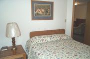 Photo: 008 TREE, County Cork Cabin Loop (cabins 1-14 & 41)