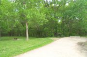 Photo: 136, Lakeside Campground Loop (sites 100-149)