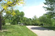 Photo: 008, Little Creek Campground Loop (sites 1-99)