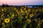 Photo: Medicine Creek Reservoir