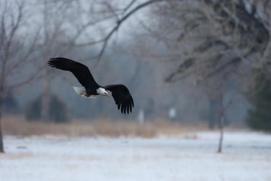 Campground Details Lake Ogallala Sra Ne Nebraska Game And